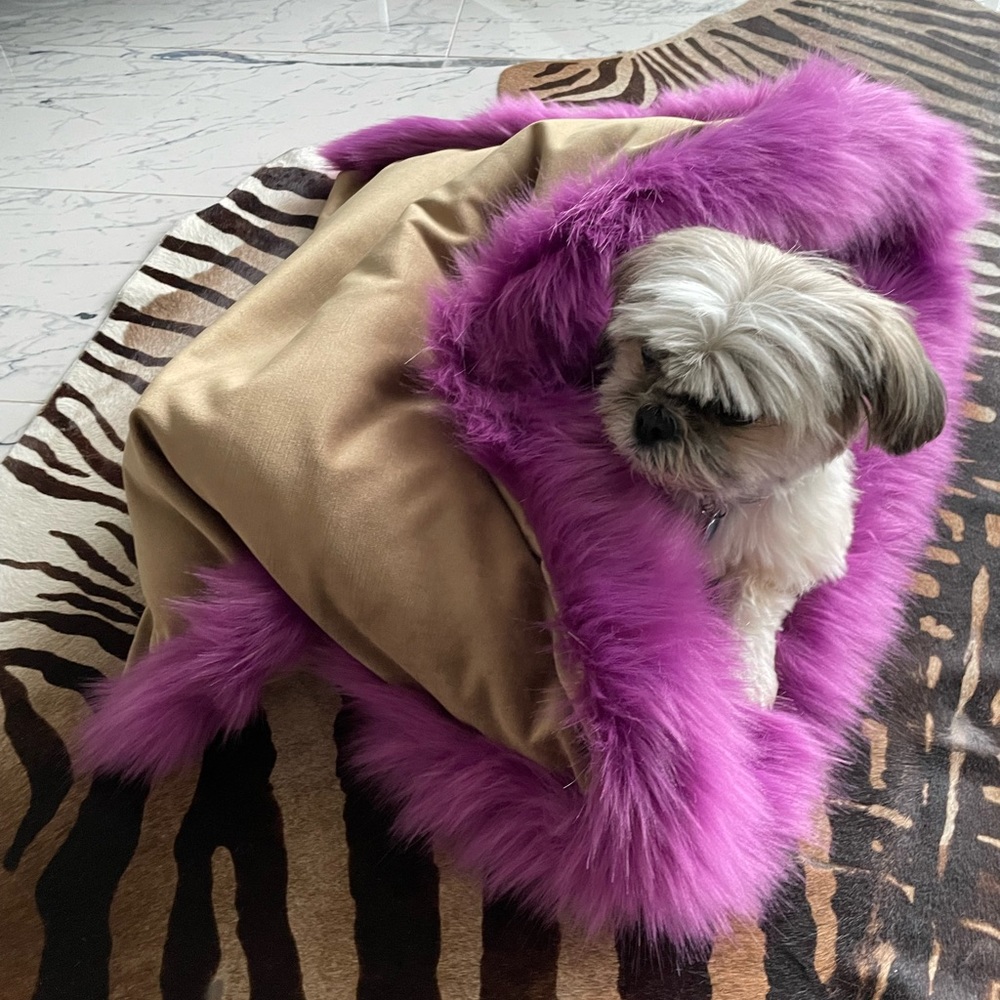 Pet Bed M size